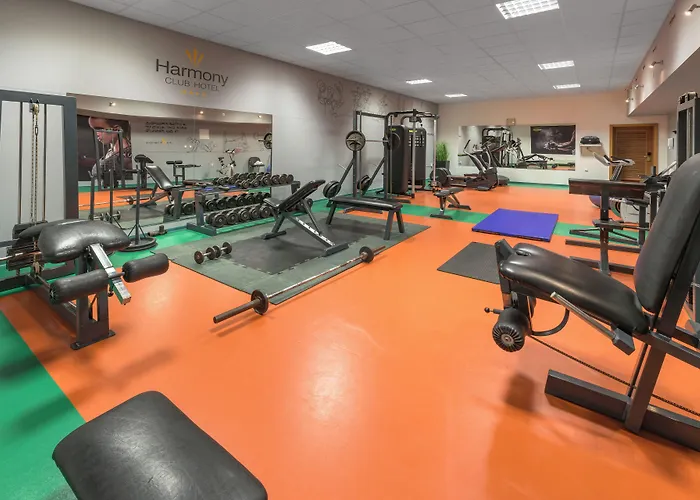 Harmony 4* Špindlerŭv Mlýn